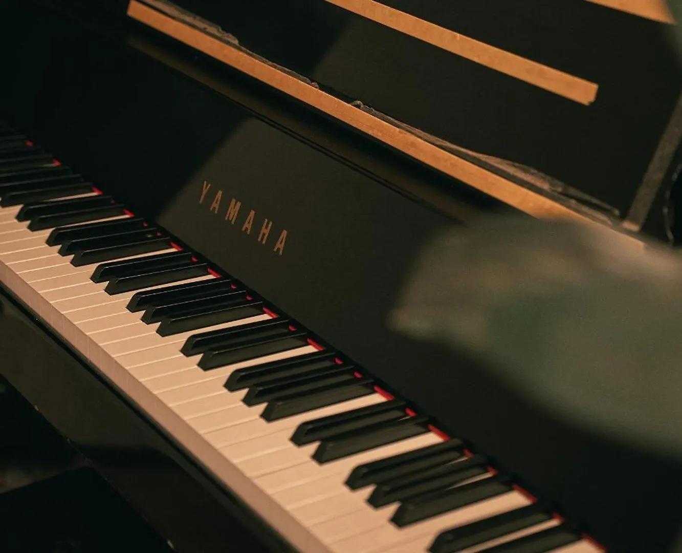 Grand Piano & Shinjuku 5Min Walk From Station Villa Tokyo